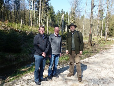 Waldbegehung im Schiltberger Forst